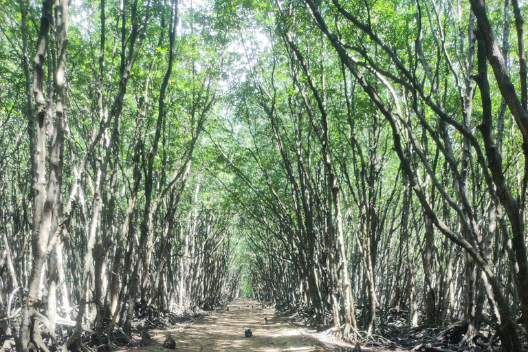 CAN GIO MANGROVE FOREST - MONKEY ISLAND FULL DAY GROUP TOUR