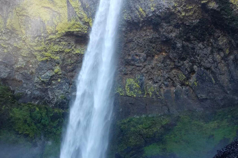 Portland City Tour and Waterfall Tour: Two Tours in One Day