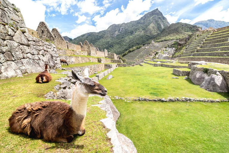 Inca Trail to Machu Picchu 4 days