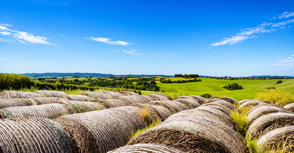 Afbeelding 1 van Siena countryside: e-biketour met virtuele gids