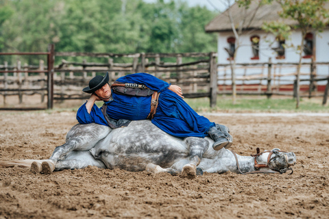 From Budapest: Puszta Horse Show and Countryside Visit Full-Day Puszta Tour (No Pickup)