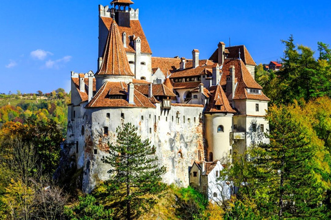 Bukarest: Peleș Castle, Dracula Castle und Brașov Tagestour