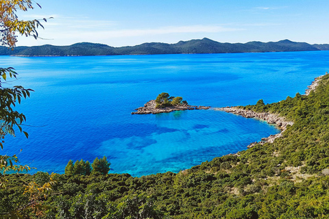 Dubrovnik: Blue Lagoon Boat Party with DJ