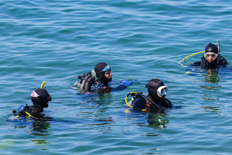 Turtle Island Double Dive with Lunch: Alanya & Side Pickup