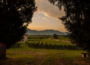 Von Bergamo aus: ...