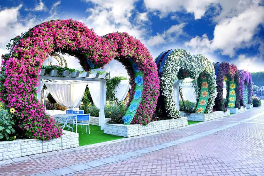 Dubai: Miracle Garden & Global Village mit Transfer. Foto: GetYourGuide Dubai: Miracle Garden & Global Village mit Transfer. Foto: GetYourGuide