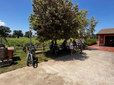 Amelia: E-Bike Tour mit Weinverkostung und leichtem Mittagessen