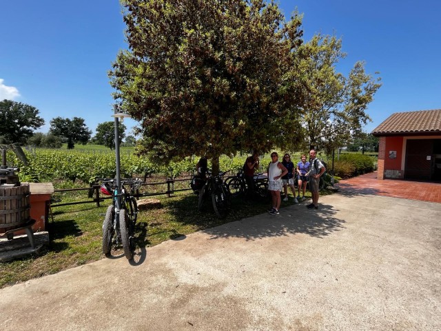 Visit Amelia E-Bike Tour with Wine Tasting and Light Lunch in Terni