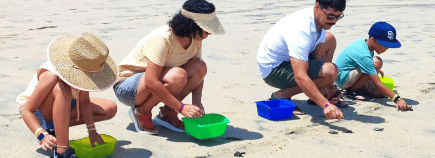 Huatulco : libération des tortues, équitation et bioluminescence