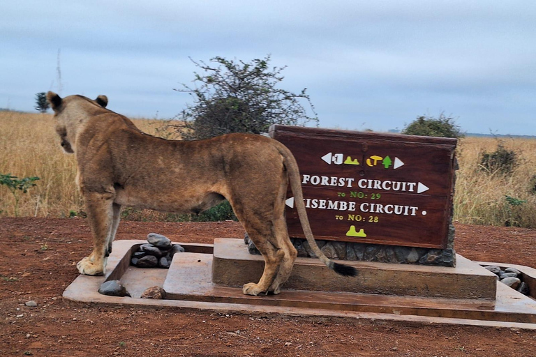 Nairobi National Park, Sheldrick Wildlife Trust en Giraffecentrum