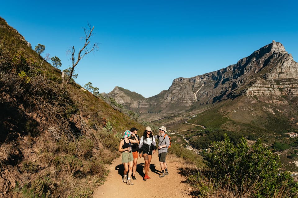 Cape Town: Lion's Head Guided Hike At Sunset | GetYourGuide