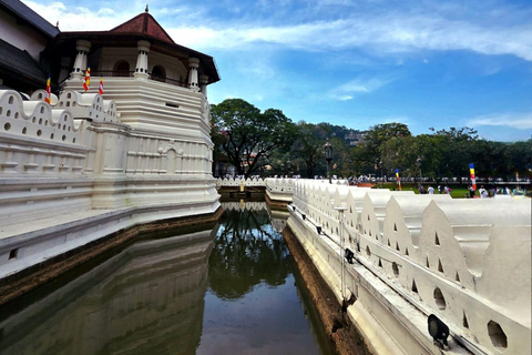 Colombo: Kandy Temple, Embekka Devalaya & Ambuluwawa Tour From Colombo: Kandy, Embekka & Ambuluwawa - All Inclusive