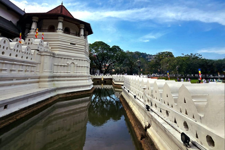 Colombo: tour del tempio di Kandy, Embekka Devalaya e Ambuluwawa