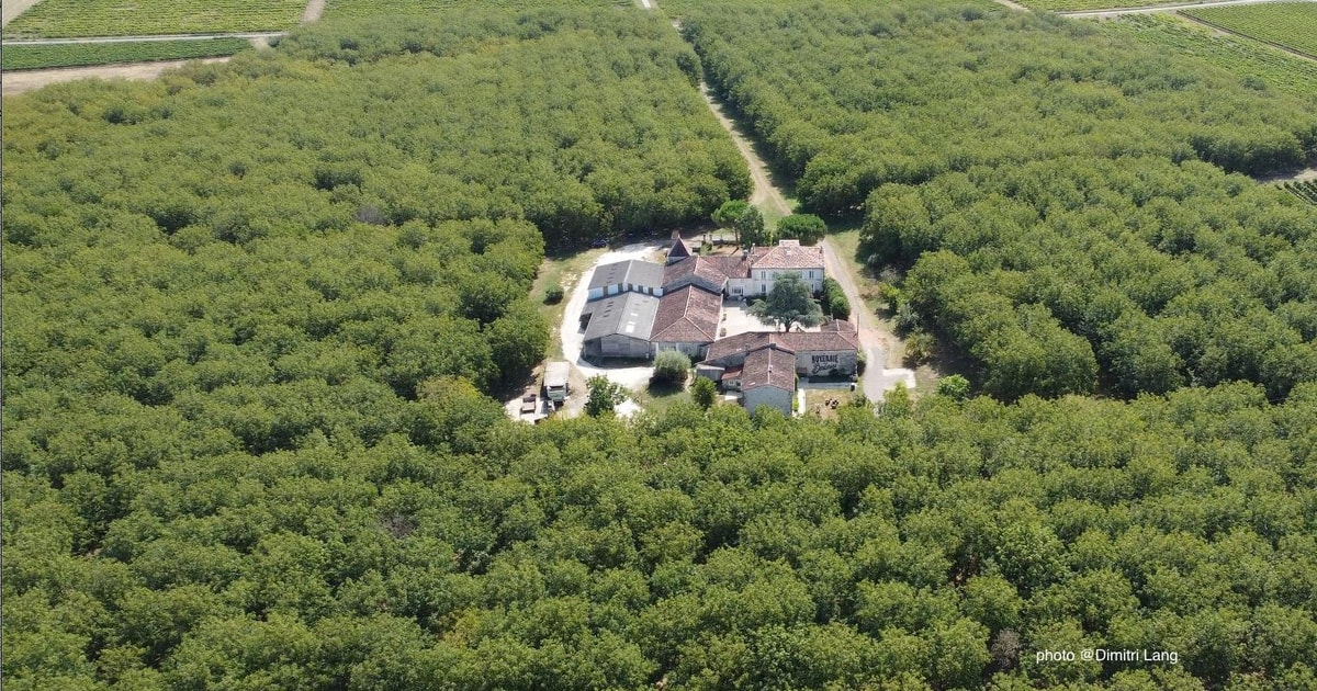 Private immersive tour and tasting at the Noyeraie | GetYourGuide