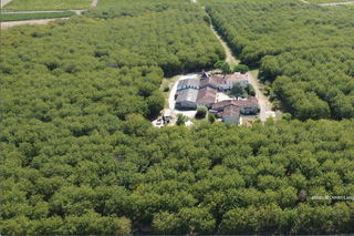 Private immersive tour and tasting at the Noyeraie