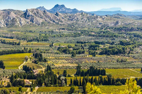 Alpilles: Discover vineyards and farms by electric bike