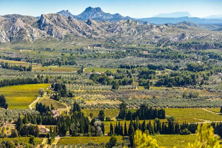Alpilles: Discover vineyards and farms by electric bike