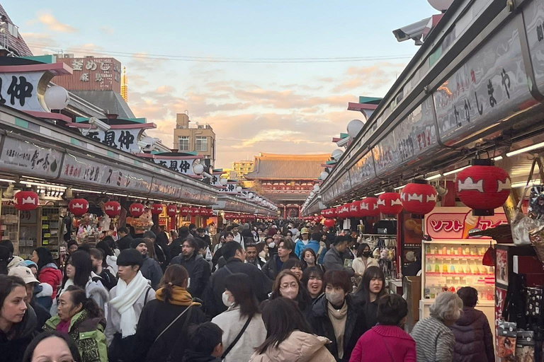 Tokyo: 5-Day Private Tour to Hiroshima with Transport