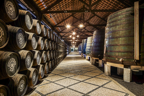 Porto: Cockburn’s Cellar Tour with Tasting & Pairing Option Classic tasting with Guided Tour In Italian