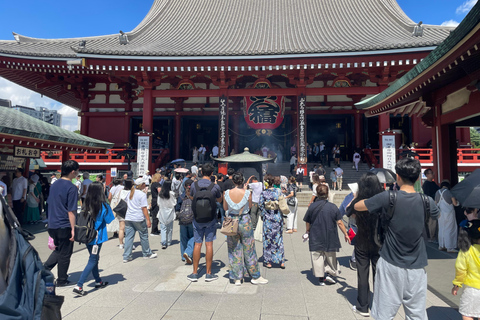 Tokyo: Tokyo Full-Day Customisable City Tour Driver / Guide