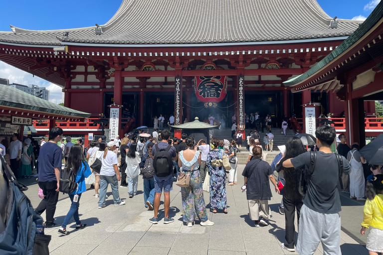 Tokyo: Tokyo Full-Day Customisable City Tour Driver / Guide