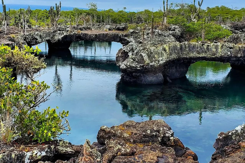 From Isabela Island: Tintoreras Boat Tour & Lunch