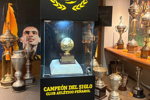 Montevideo: Peñarol Stadium, Museum, and Arena Tour