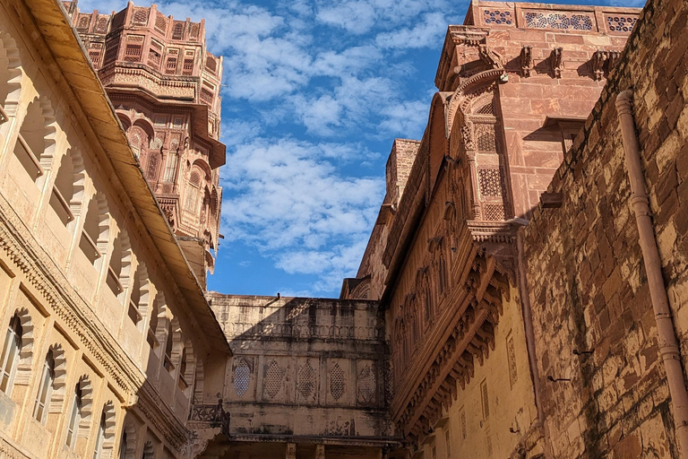 Jodhpur: Fort Mehrangarh i wycieczka piesza po Błękitnym Mieście