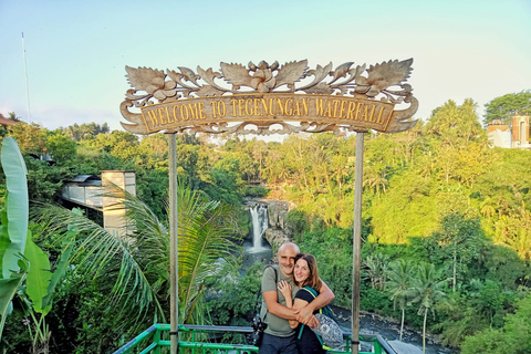 Autocharter: beste watervallen, rijstterrassen Tour in Ubud8 uur autohuur Rijstterrassen, watervallen, watertempel