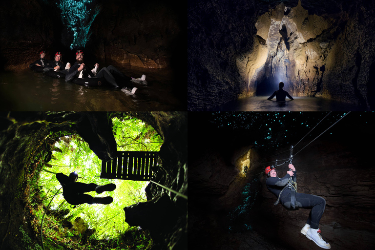 Från Auckland: Waitomo Caves Black Abyss Adventure Tour