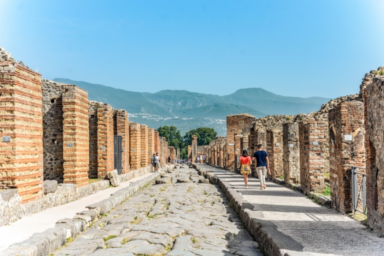 Pompéi : visite en petit groupe avec un archéologueVisite de groupe en allemand