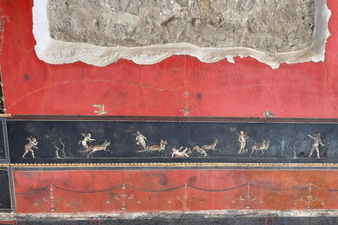 Från Positano: Pompeji, Vesuvius och vinprovning med lunch