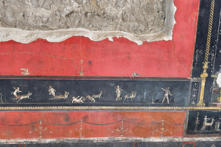 Från Positano: Pompeji, Vesuvius och vinprovning med lunch