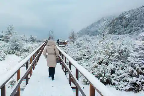 Ushuaia: 2-Day Combo: National Park + Beagle + Off Road - Winter
