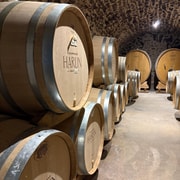 Champagnerkeller-Erlebnis: Erkunde unsere historischen Weinkeller
