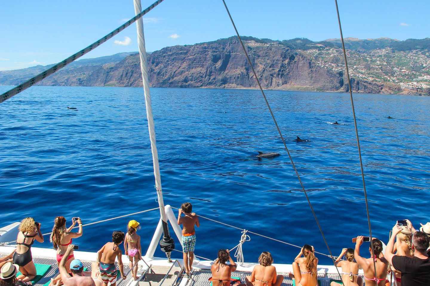 Madeira: Dolphin and Whale-watching Catamaran Tour - Madeira: Dolphin and Whale-watching Catamaran Tour