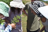 Desde Sapa, Muong Hoa Valley View & Village Trek 1-Day - Housity