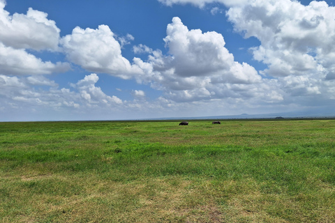 Nairobi: Amboseli National Park Tagestour mit PirschfahrtenSolo Nairobi: Amboseli National Park Tagestour