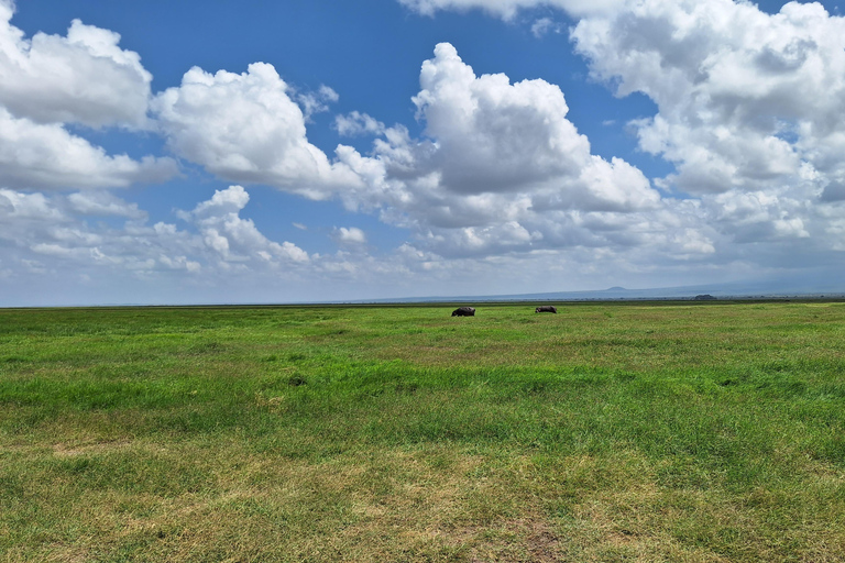 Nairobi: Amboseli National Park Tagestour mit PirschfahrtenSolo Nairobi: Amboseli National Park Tagestour