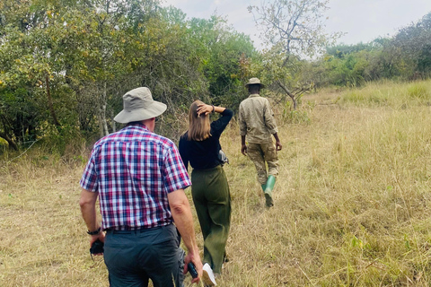 乌干达：3日游——默奇森瀑布与犀牛/黑猩猩追踪之旅乌干达：3日游，包含穆希逊瀑布和犀牛/黑猩猩徒步旅行