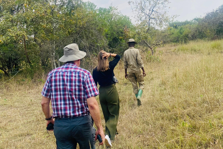 乌干达：3日游——默奇森瀑布与犀牛/黑猩猩追踪之旅乌干达：3日游，包含穆希逊瀑布和犀牛/黑猩猩徒步旅行