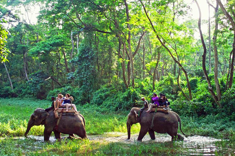 Desde Katmandú o Pokhara: 1 N 2D Día de excursión por la vida salvaje de ChitwanDesde Katmandú o Pokhara: Excursión de 1 N- 2 días por la vida salvaje de Chitwan