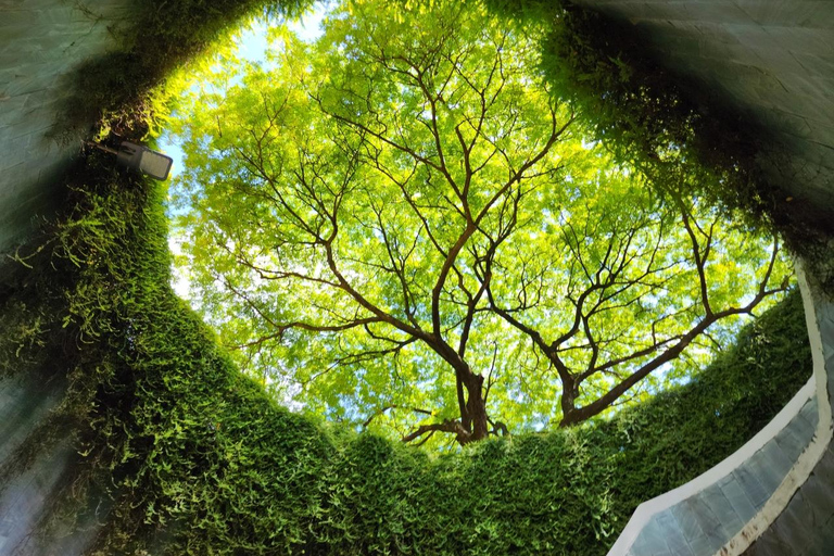 Singapore: Unravel Hidden Gems in a Private Customized Tour Private Customized Tour - 2 hours