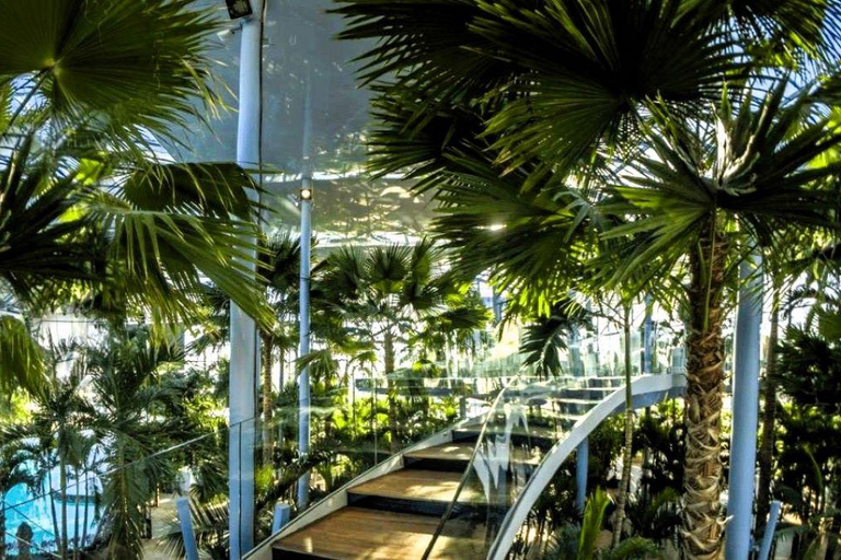 Bucharest: Transfer to Therme+Full EntryTicket 12h