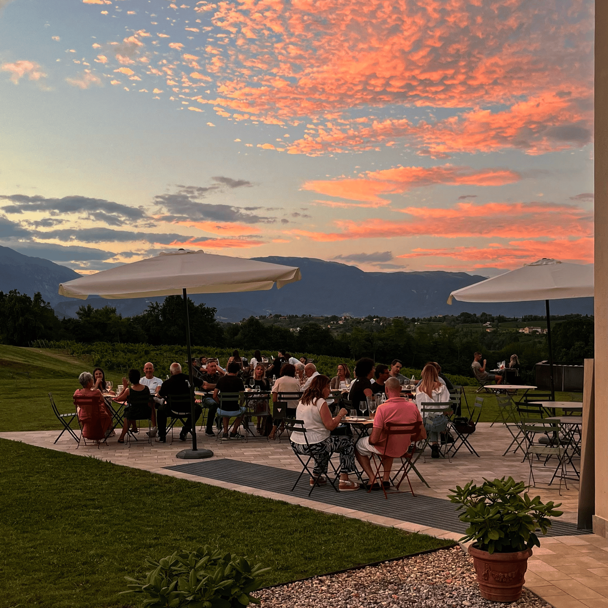Prosecco Hills: Schöner Verkostungsabend