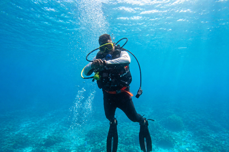 Polhena: Scuba Diving & Diving Course with Hotel Pickup Discover Scuba Diving (without scuba certification) - 1 Dive