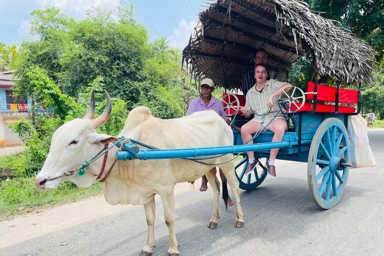 Colombo Airport → Sigiriya, Kandy, or Ella Private Car Tour Private Car with Driver – Up to 100 km