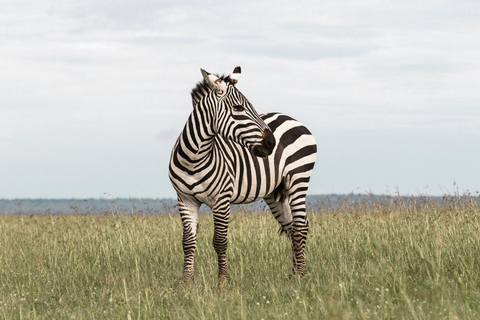 Nairobi national park ,Elephants orphanage, Giraffe Center.Nairobi park Elephants, Giraffe Center, Blixen Museum Tour