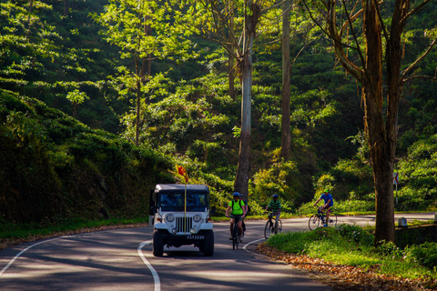 Bicycle Adventure-Bandarawela to Punagala & Tea Factory Tour