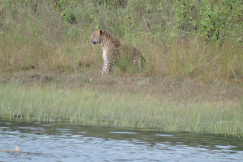 Yala/Mirissa: All Inclusive Full-Day Safari at Yala Park Mirissa/Weligama: All Inclusive Full-Day Safari at Yala Park